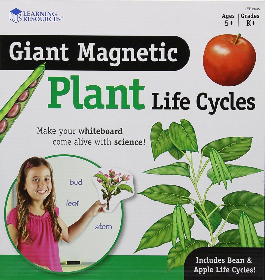 Learning Resources Giant Magnetic Plant Life Cycle - 12 Pieces,