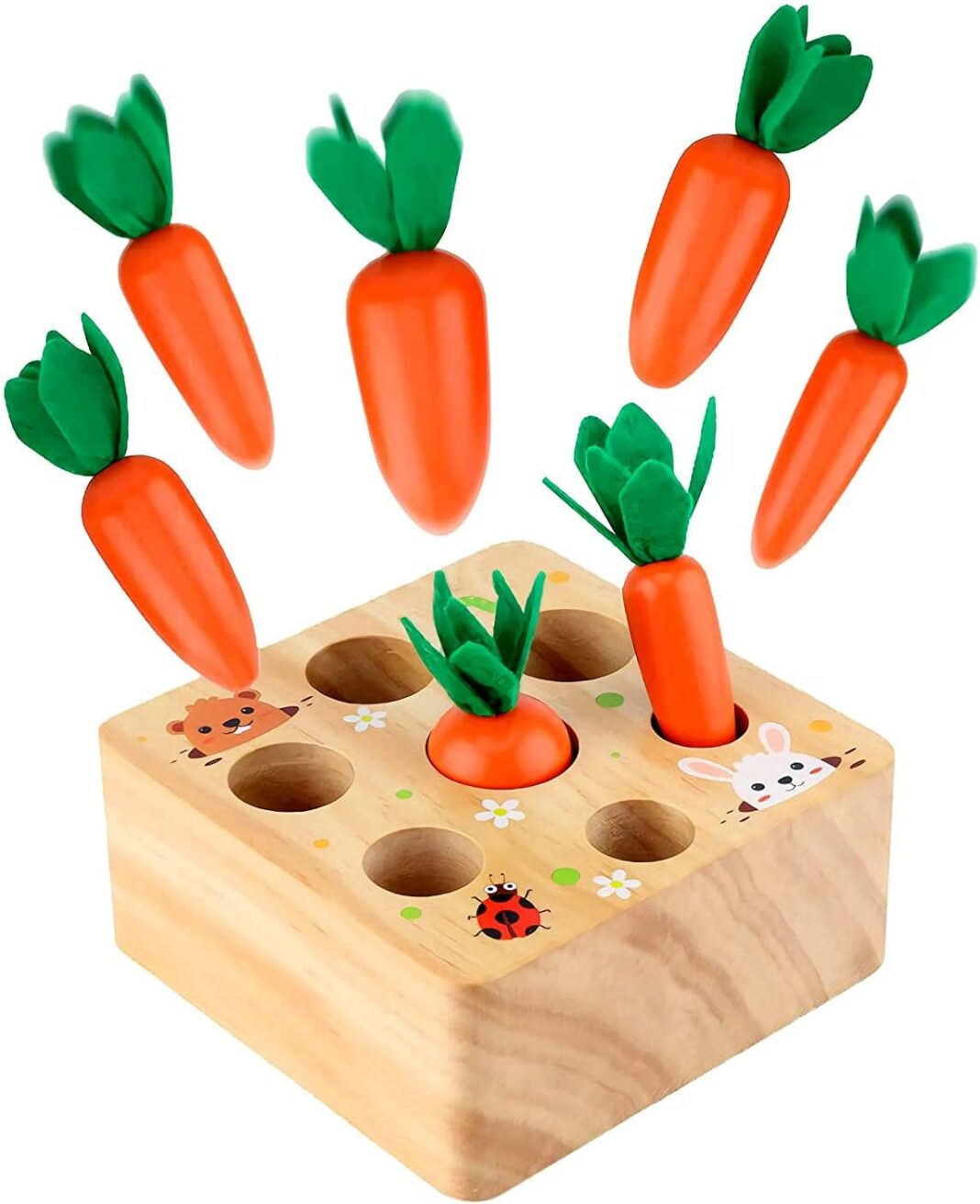 Montessori Toys for 1 Year Old, Carrot Shape Size Sorting