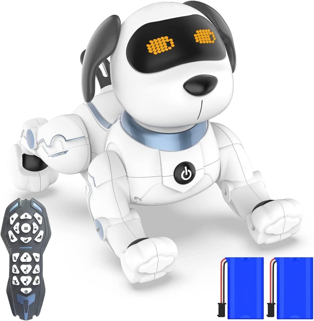 OKK Remote Control Robot Dog Toy for Kids, Programmable Smart
